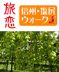 旅恋 信州塩尻ウォーク