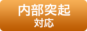 内部突起対応