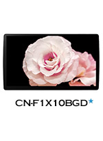 F1X10BGD