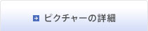 ピクチャーの詳細
