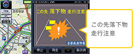 落下物情報の表示例