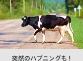 突然のハプニングも！