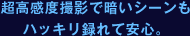 超高感度撮影で暗いシーンもハッキリ録れて安心。