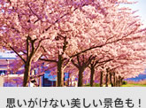 思いがけない美しい景色も！