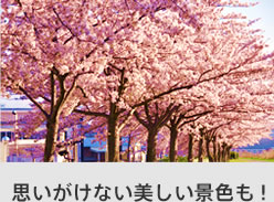 思いがけない美しい景色も！