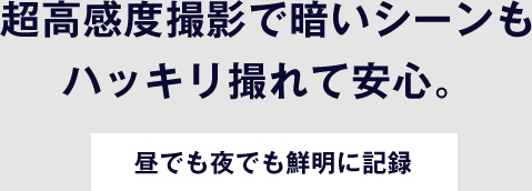 ナビの大画面で見やすく、使いやすい。ストラーダ連動