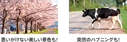 確実に残したい映像はナビ操作で手動保存