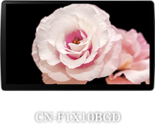 CN-F1X10BGD