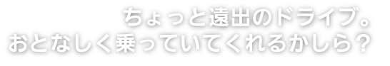 ちょっと遠出のドライブ。おとなしく乗っていてくれるかしら?
