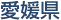 愛媛県