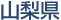 山梨県