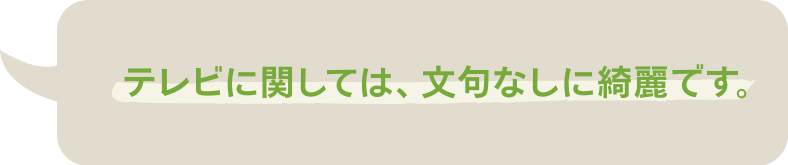 F1XV・F1DVユーザーボイス