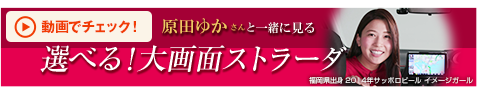 選べる！大画面ストラーダ
