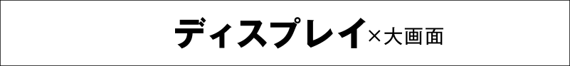 ディスプレイx大画面