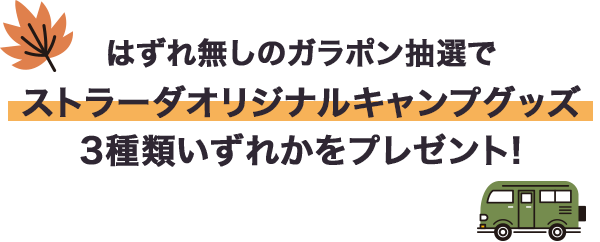 特典1 「ホームページを見た！」で綾瀬はるかさんのオリジナルクリアファイルプレゼント！