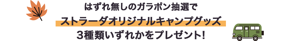 特典1 「ホームページを見た！」で綾瀬はるかさんのオリジナルクリアファイルプレゼント！