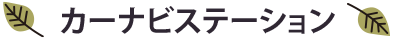 カーナビステーション