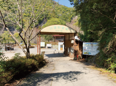 キャンプ場の入口