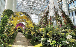 華やかな植物が魅力の「あわじグリーン館」