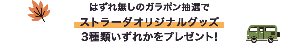 特典1 「ホームページを見た！」で綾瀬はるかさんのオリジナルクリアファイルプレゼント！