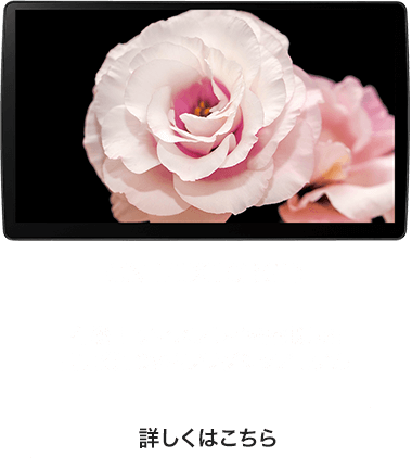 CN-F1X10BGD
