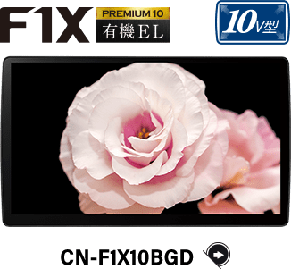 CN-F1X10BGD