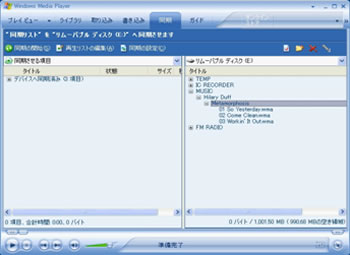 Windows Media Player10図
