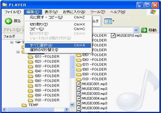 PLAYERフォルダー図