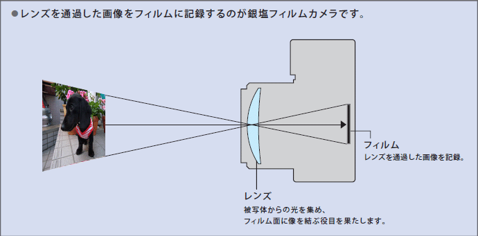Film Camera