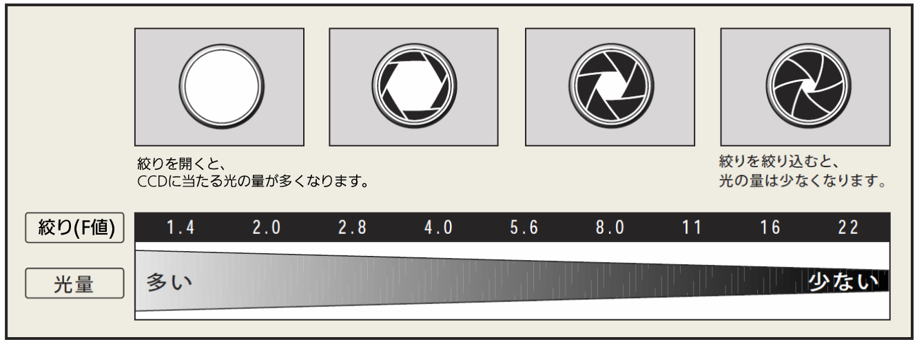 絞りと光量