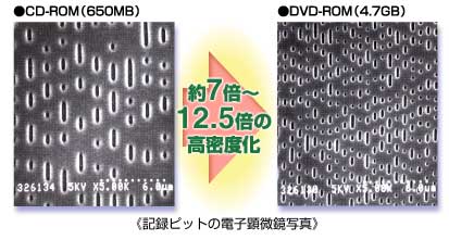記録ビットの電子顕微鏡写真