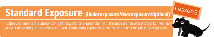 Standard Exposure