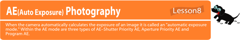 Auto Exposure photography