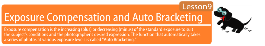 Exposure Compensation and Auto Bracketing