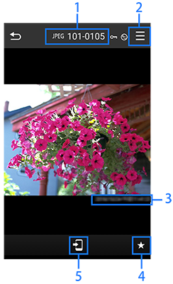 Single image display