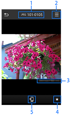Single image display