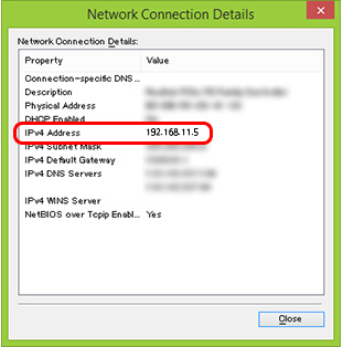 Network Connection Details