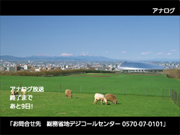 アナログ放送終了のテレビ画面