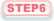 STEP6