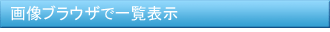 画像ブラウザで一覧表示
