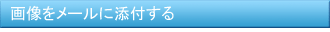 画像をメールに添付する