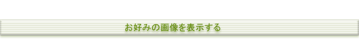 お好みの画像を表示する