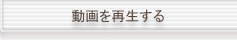 動画を再生する
