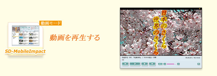 動画を再生する