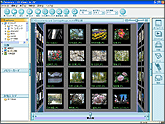 SD Viewer Version 3.1J for DV 画面
