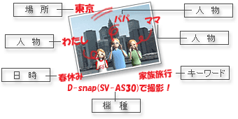 画像の分類