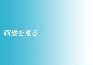 画像を見る