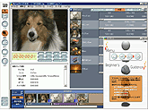 MotionDV STUDIO 4.6J