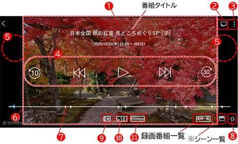 全画面再生表示