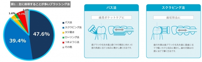 歯科医師推奨の磨き方※1ができる電動歯ブラシ「ドルツ」。新商品を発売。